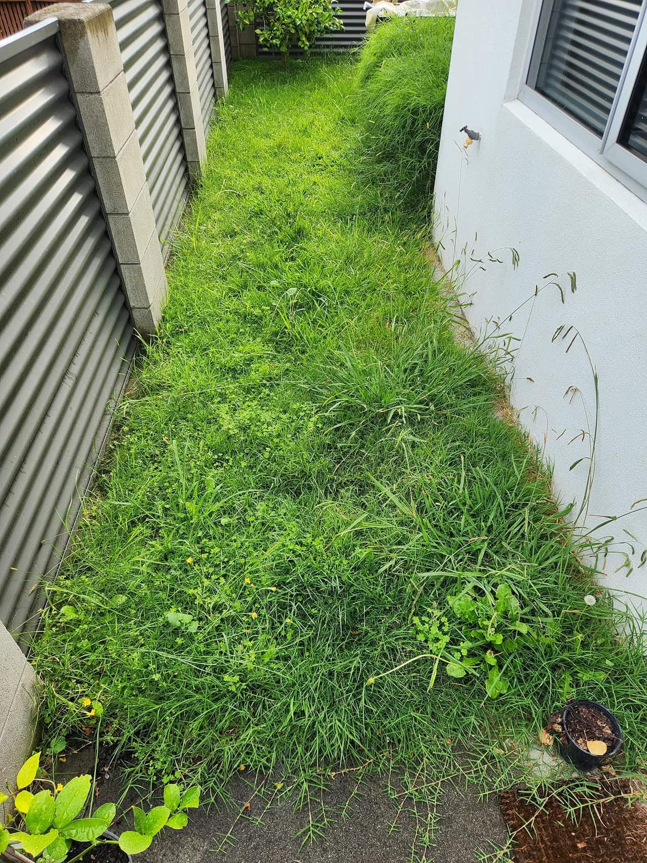Love Thy Lawn recent work photo 3