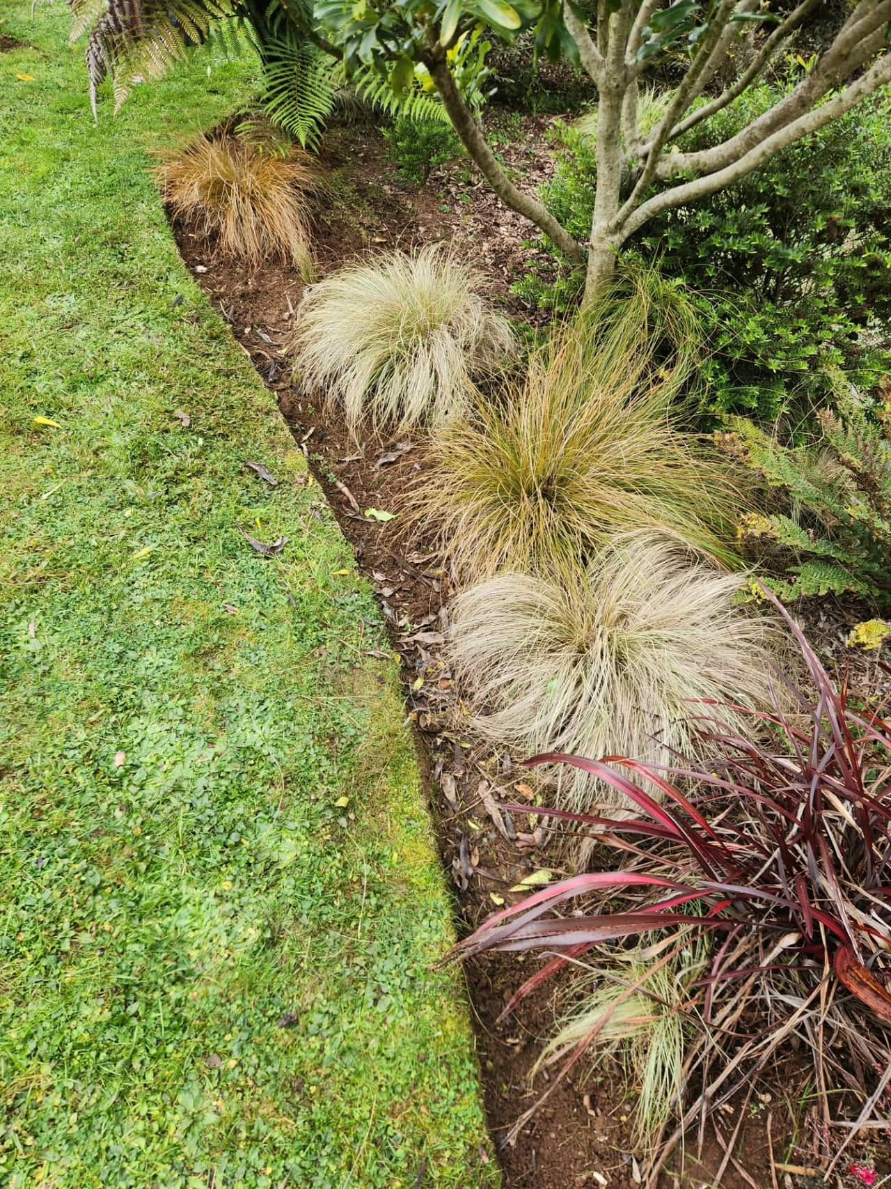 Tidy, weeded garden bed edge in Te Awamutu